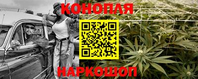 Альфа ПВП Кингисепп