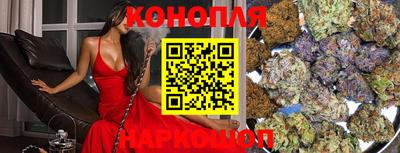 Альфа ПВП Кингисепп