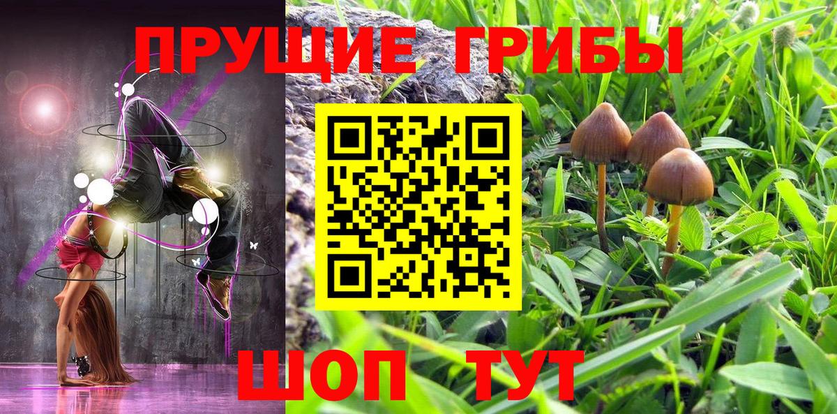 Галлюциногенные грибы GOLDEN TEACHER  Вход с VPN  где купить наркоту  Красноуфимск 