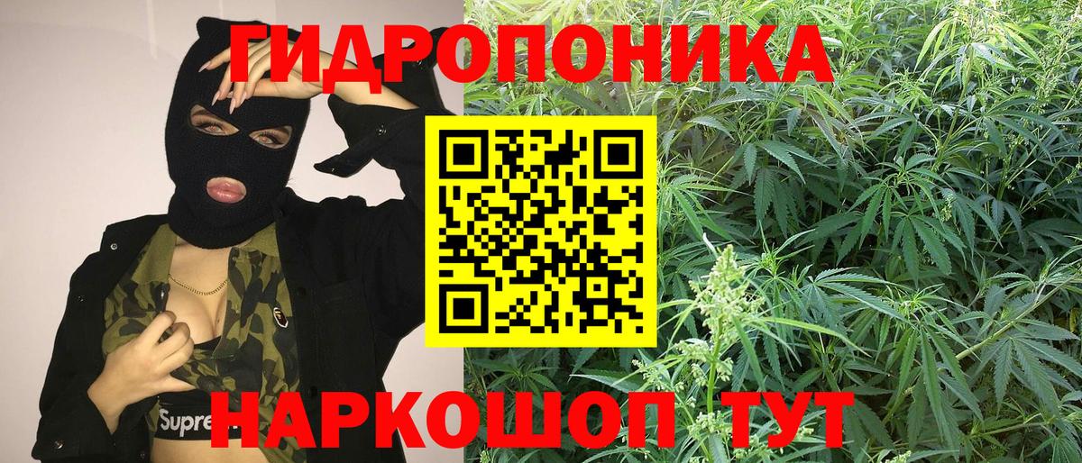 Бошки марихуана тримм  МАРИХУАНА планчик  Красноуфимск  Конопля Amnesia  Вход с VPN 